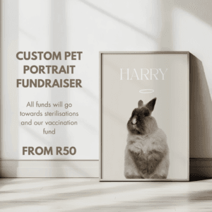 Custom Oil Paint Pet Portrait