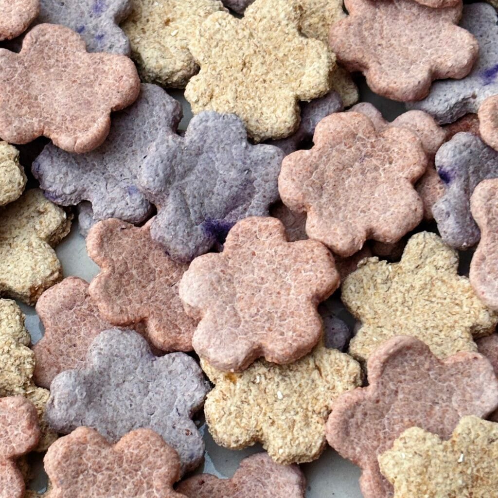 Flower Nibbles (Variety)