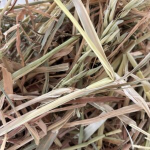 Oat Hay (2KG Bag)