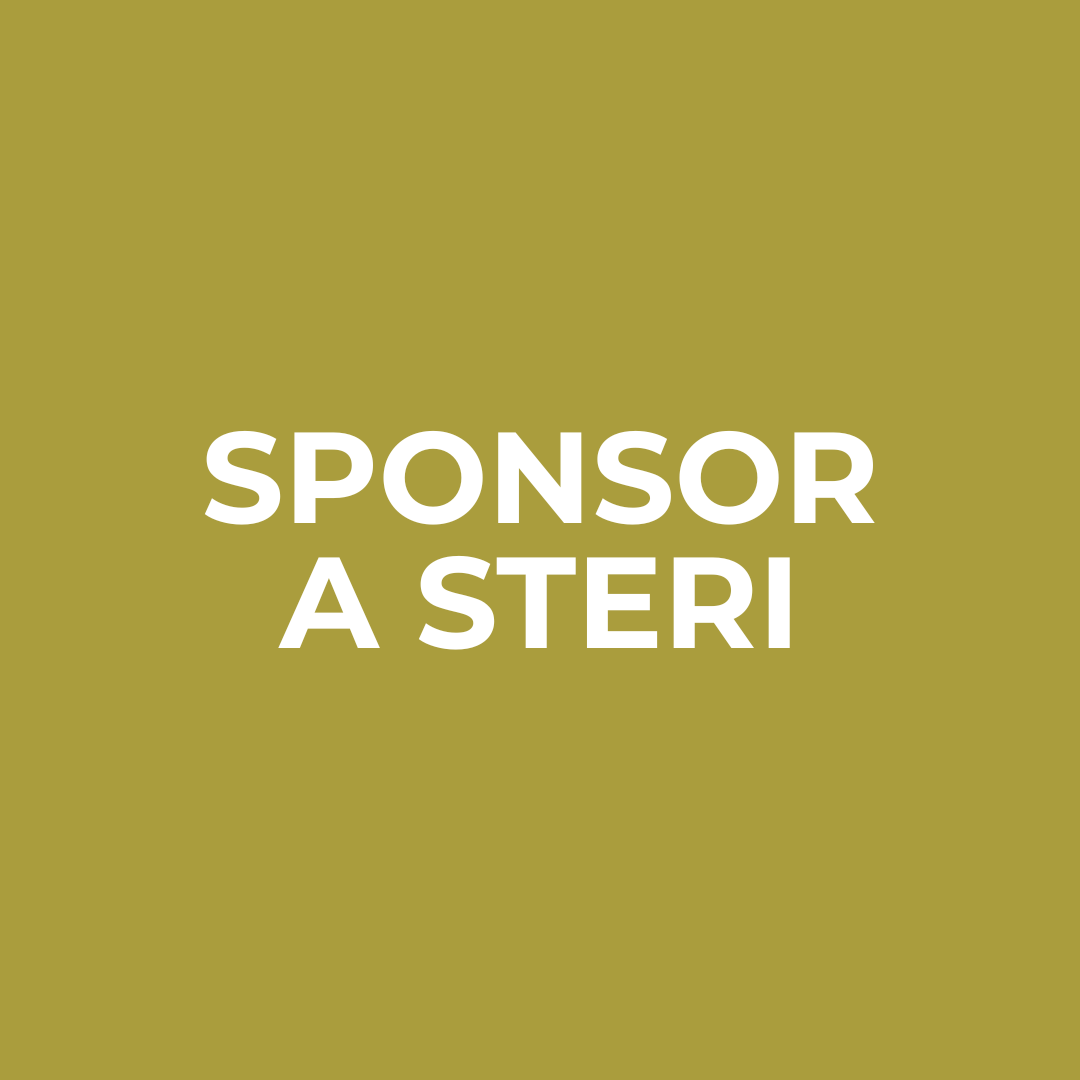 Sponsor a Steri