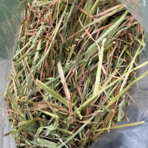 Oat Hay (2.5kg Bag)